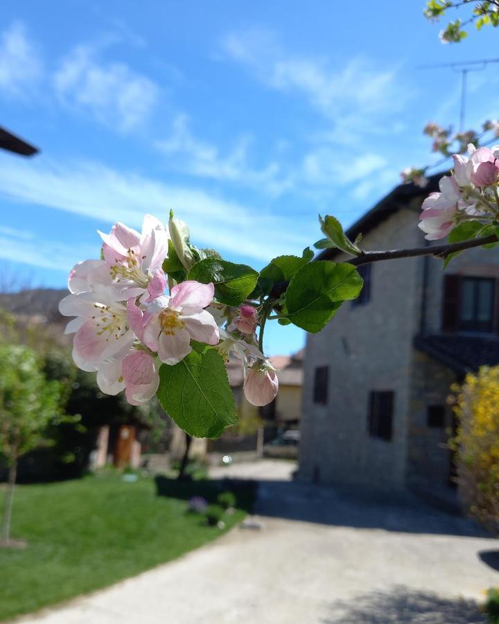 La Pomella Villa Ponte Nizza ภายนอก รูปภาพ