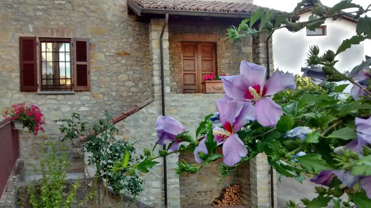 La Pomella Villa Ponte Nizza ภายนอก รูปภาพ